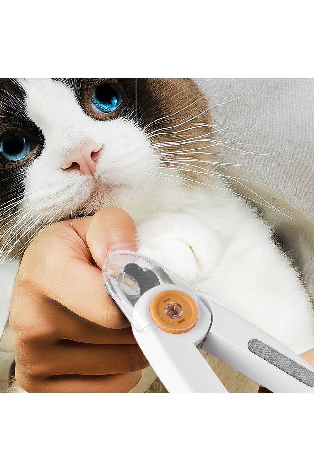 Living And Home Pet Nail Clipper with LED Light and Nail File in White