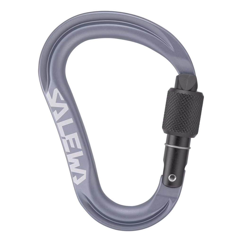 Salewa Ortles Hms M Carabiner / Grey / One