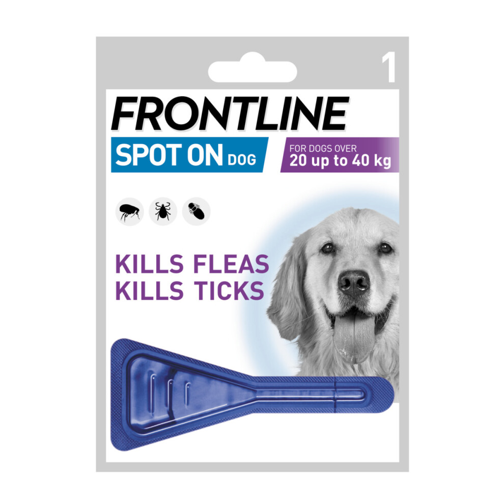 Frontline Spot On Flea & Tick Treatment Dog Large Dog (20-40kg) 1 Pipette