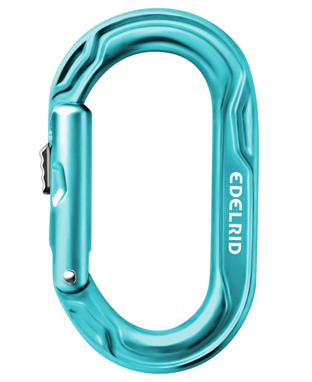 Edelrid Kiwi Slider Carabiner | Turquoise