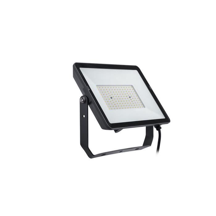 Philips ProjectLine Floodlight spot 6,500 K 100 W