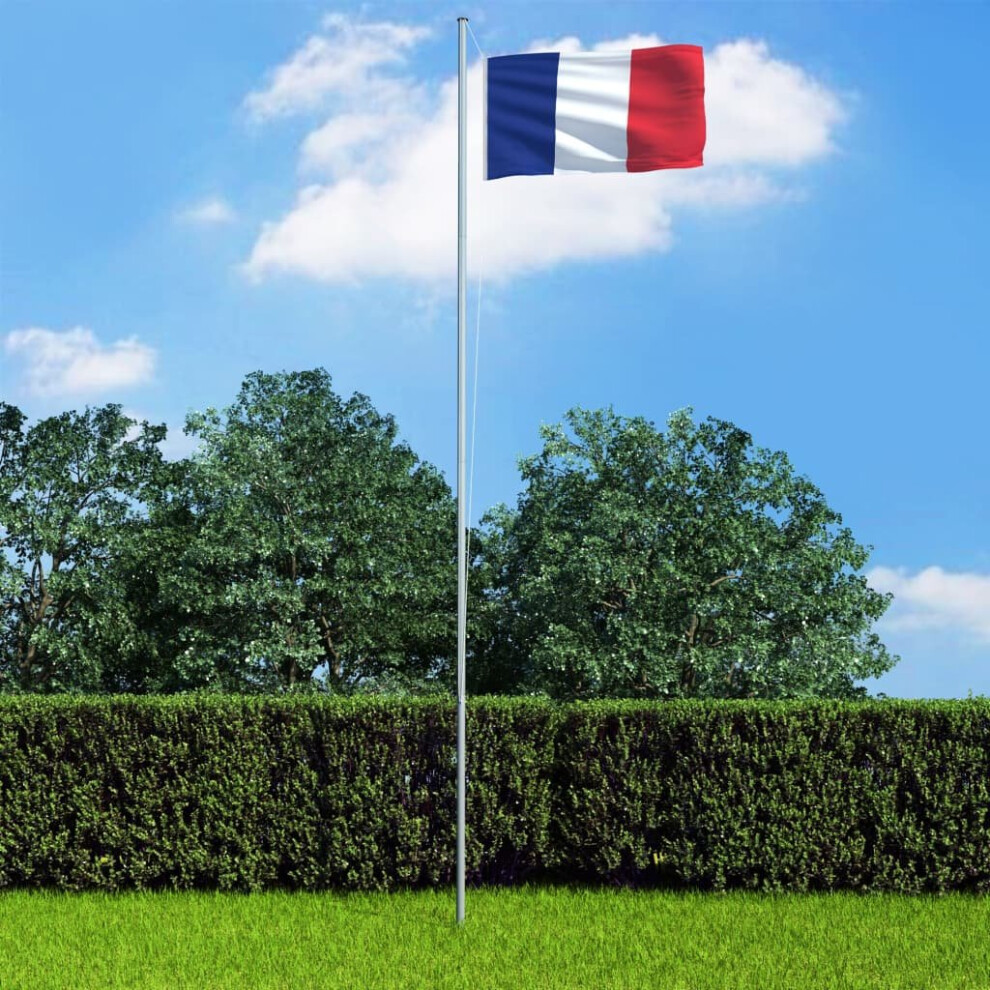 VidaXL France Flag 90x150 cm
