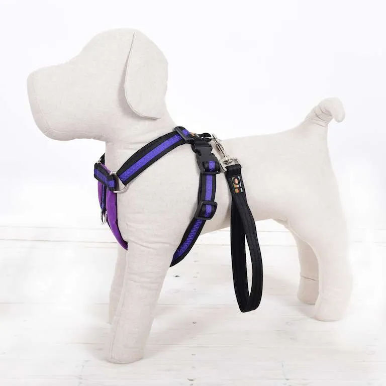 Oscar & Hooch Dog Harnesses - Signature Range - Purple, XL