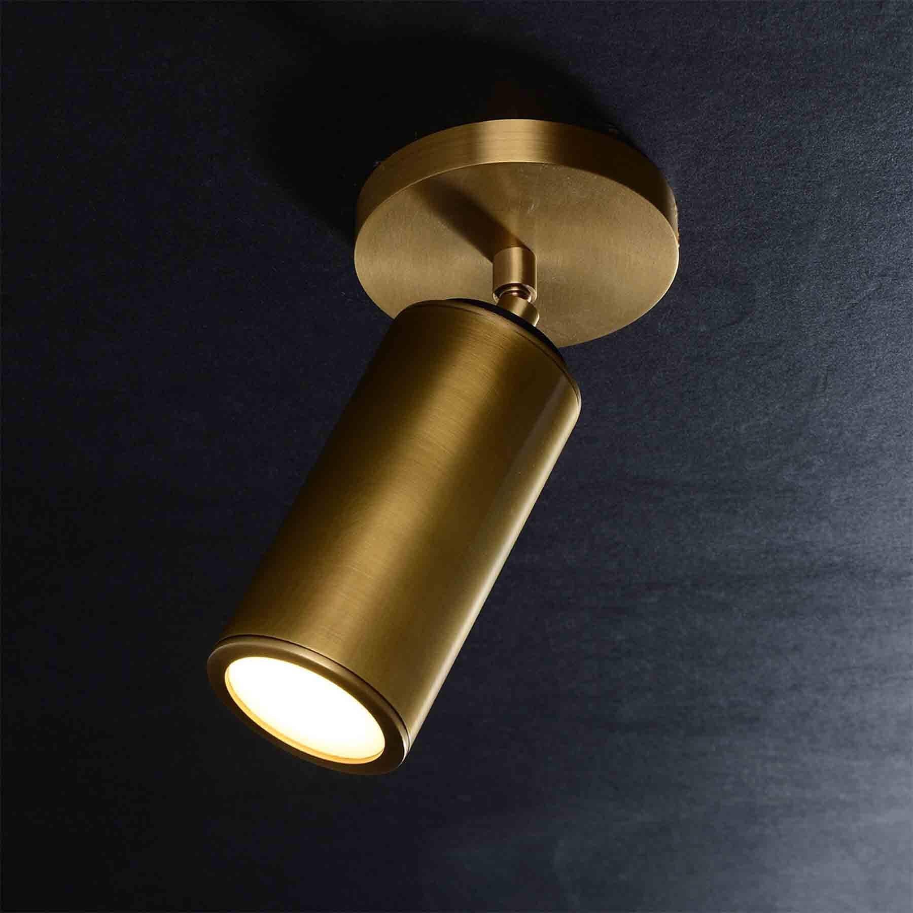 Jimmy Raiden Cameron Adjustable Flushmount Ceiling Light - Brass Flush Ceiling Lights & Spotlights Ceiling Spotlights