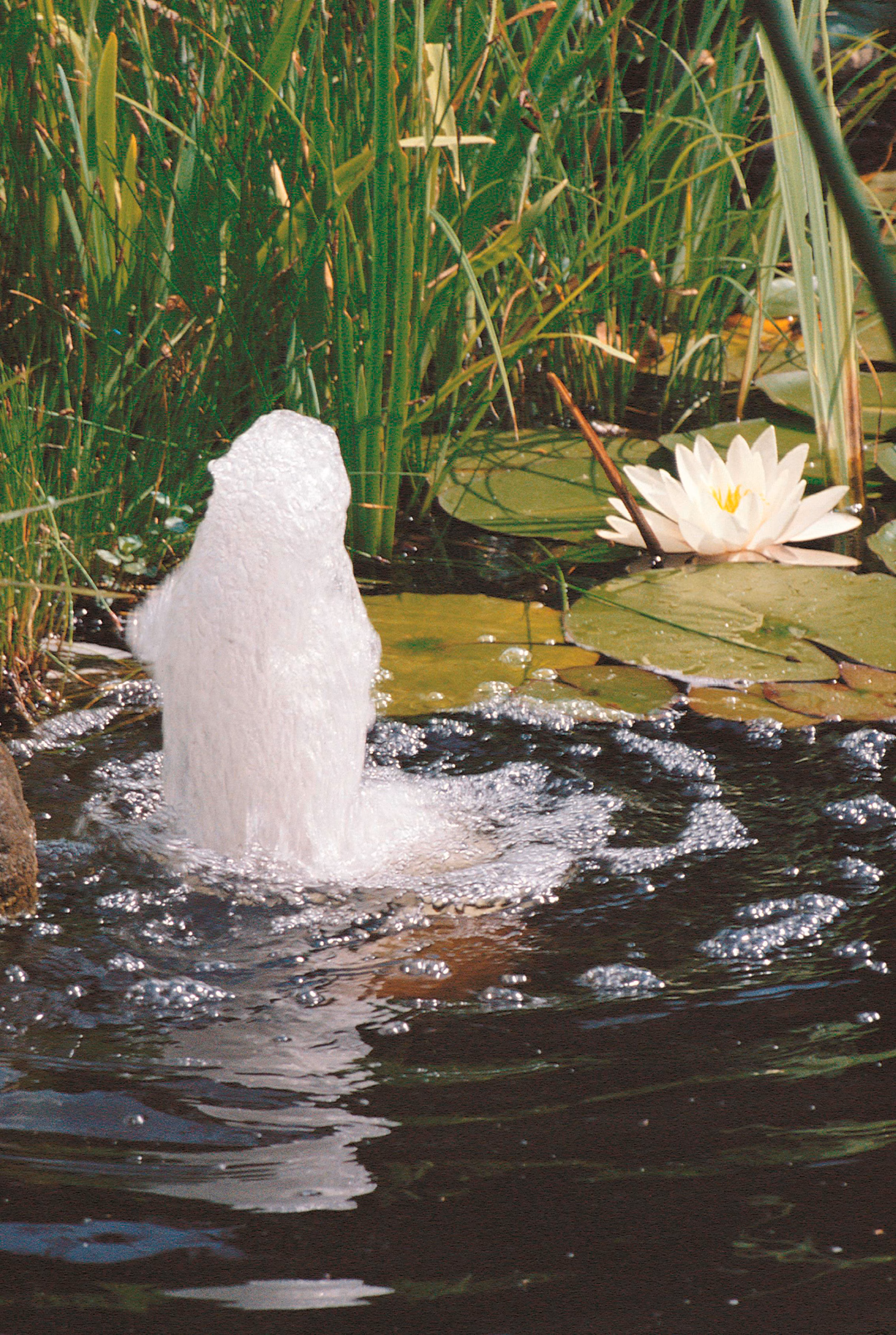 Ubbink House of Vida  Ubbink springvandspumpe Elimax 2500 1351303