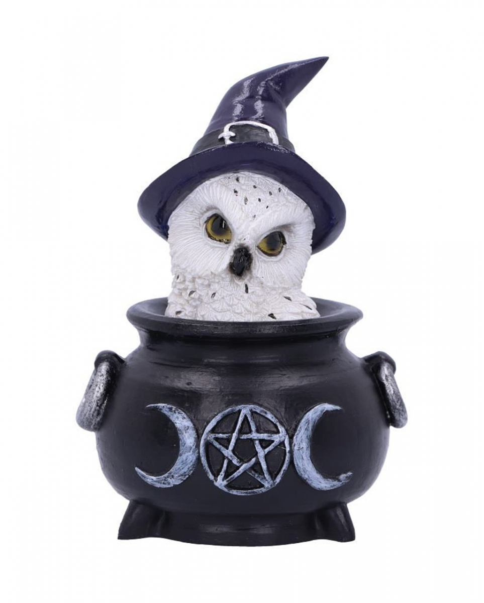 Nemesis Now Owl's Brew Figurine - 10cm