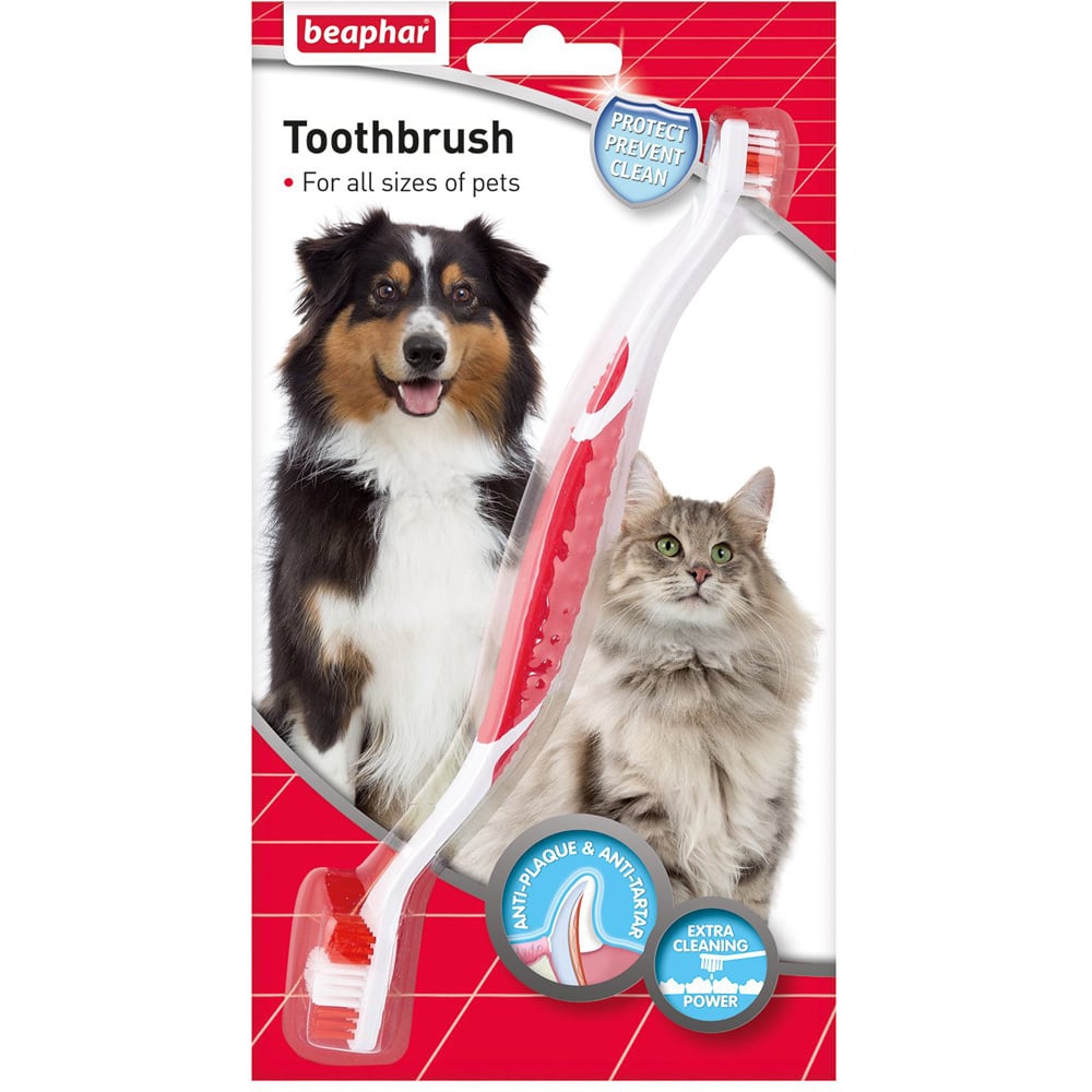 Beaphar Toothbrush
