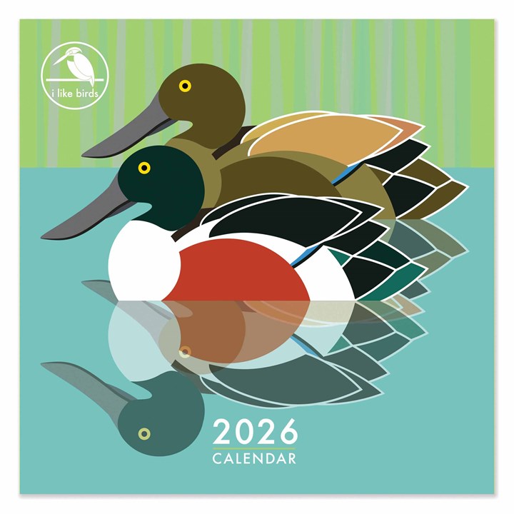 Birds I Like Birds Calendar 2026