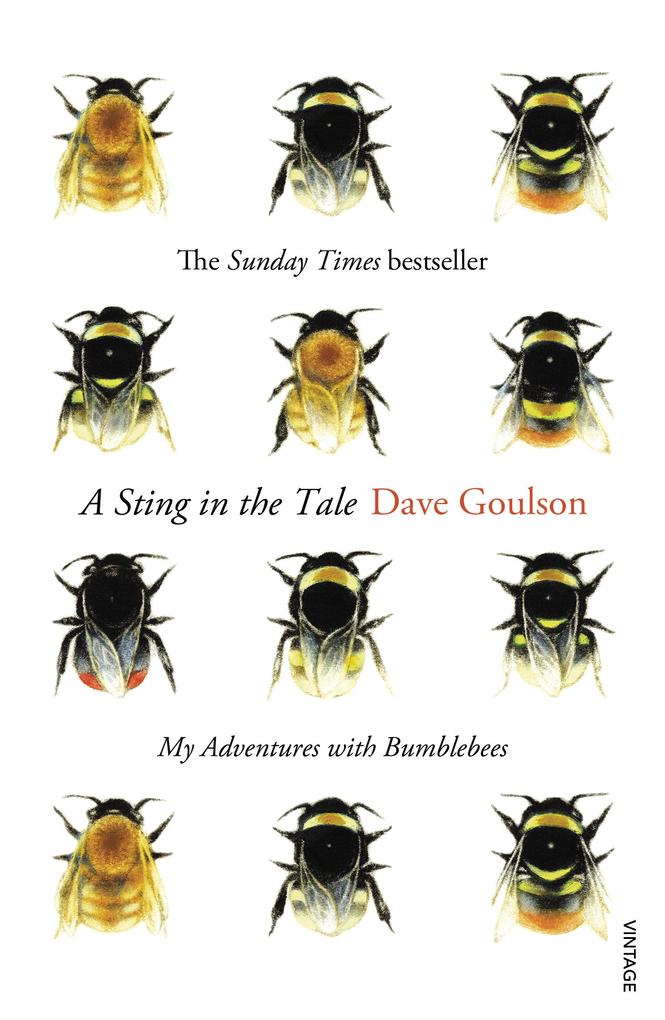 Vintage Publishing A Sting in the Tale  Paperback  Dave Goulson