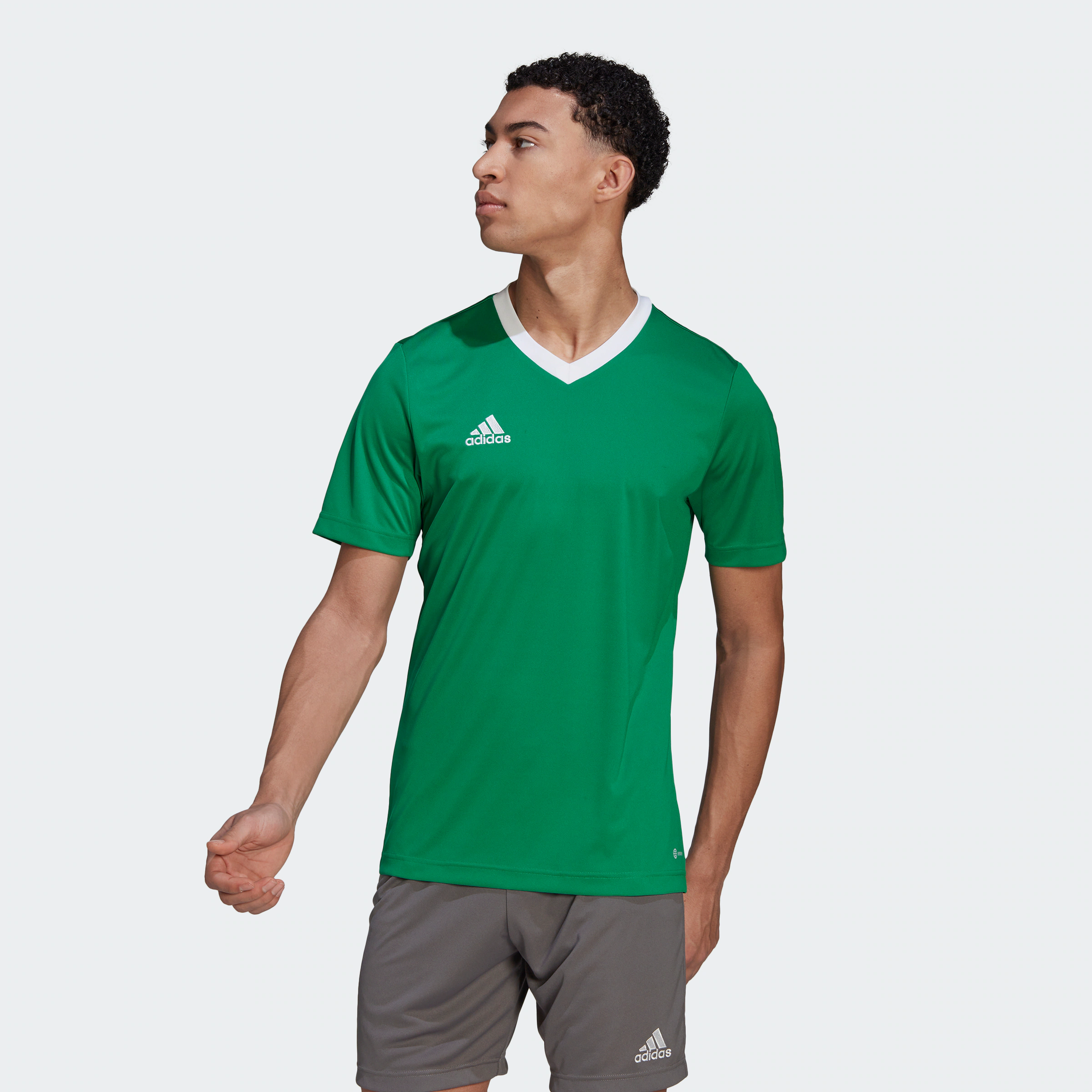 Adidas MEN CLOTHES T Shirt Adidas Entrada 22 Green White | EU S
