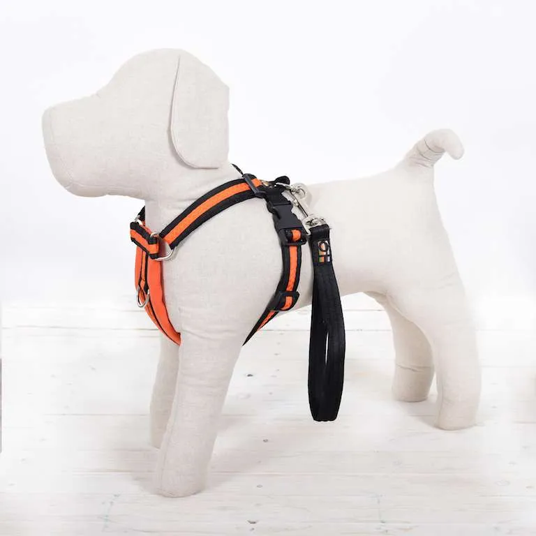 Oscar & Hooch Dog Harnesses - Signature Range - Orange, XXS