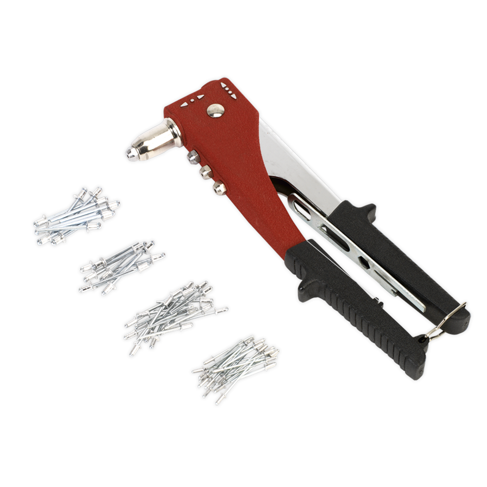 Sealey AK397 Two-Way Riveting Kit