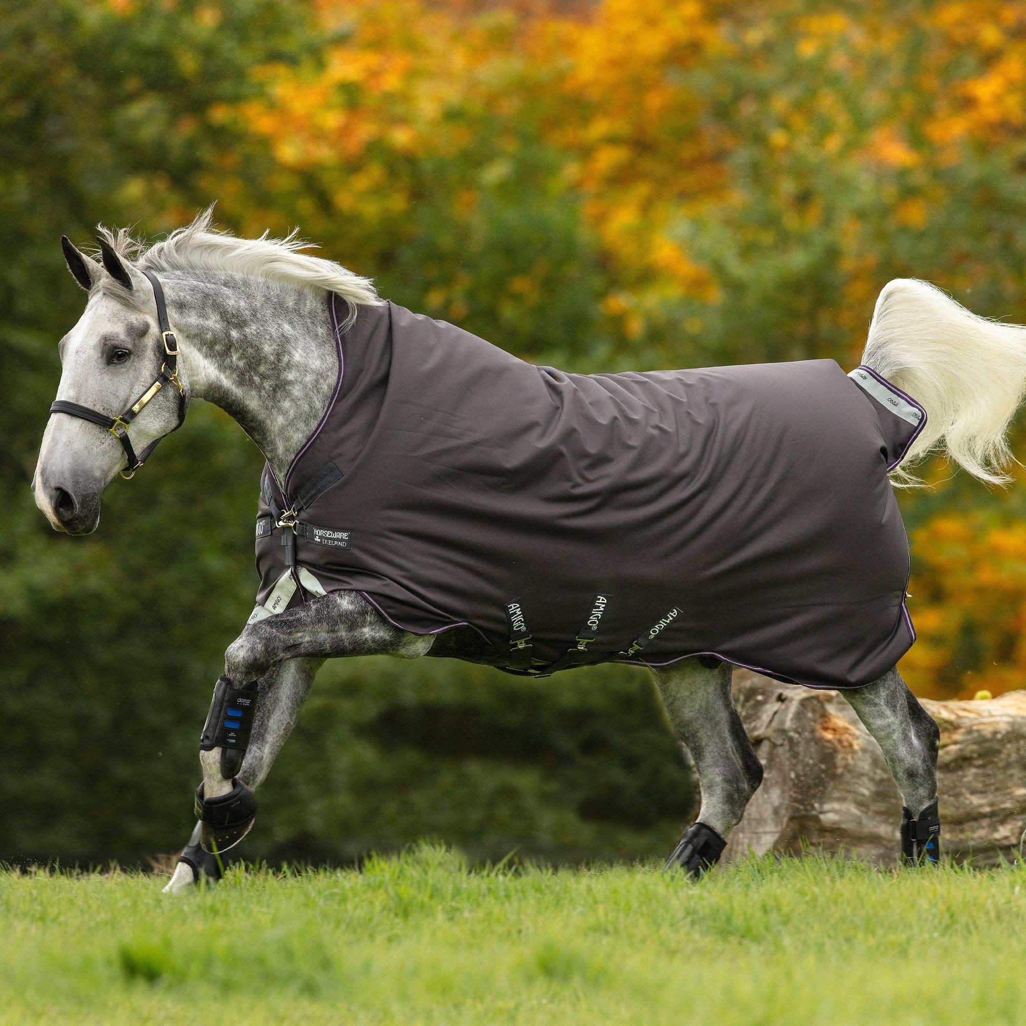 Amigo Turnout Rugs | Amigo Bravo 12 Wug Mediumweight 250g Standard Turnout Rug Colour Excalibur with Plum and Silver Size 5'9"