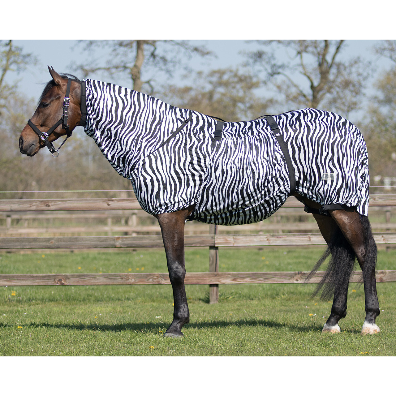 QHP Fly Rugs | QHP Eczema Combo Fly Rug Colour Zebra Size 3'3