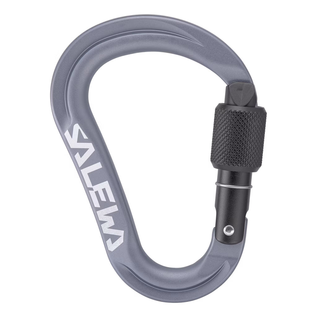 Salewa Ortles Hms S Carabiner / Grey / One