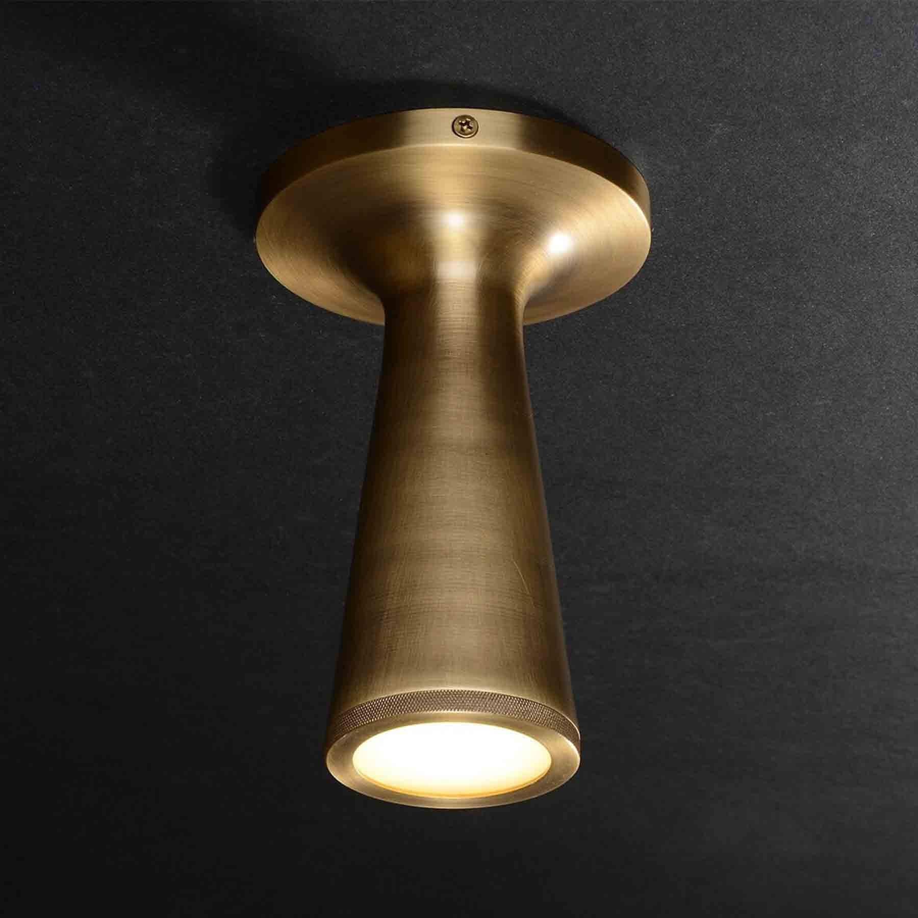Jimmy Raiden Cone Flushmount Ceiling Light Flush Ceiling Lights & Spotlights Ceiling Spotlights