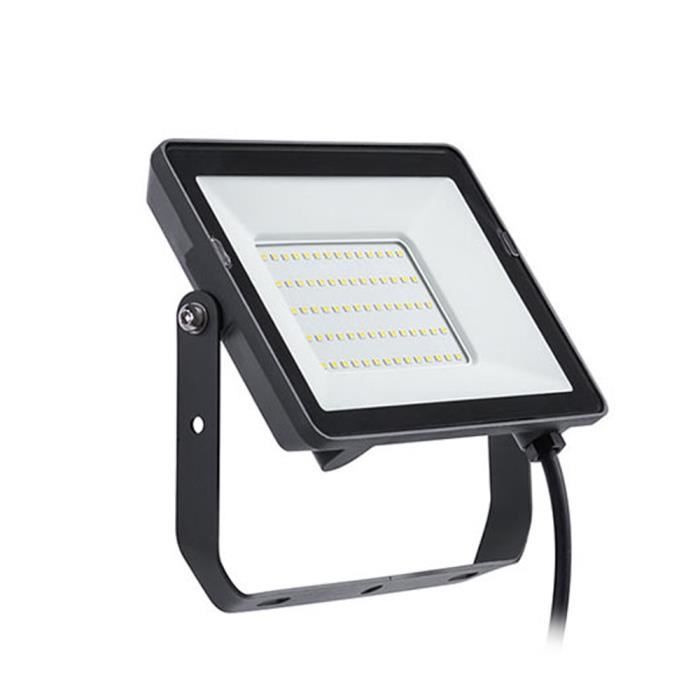 Philips ProjectLine Floodlight spot 6,500 K 50 W