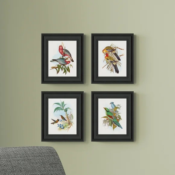 ARTKO Set of 4 Bird Illustrations Framed Prints