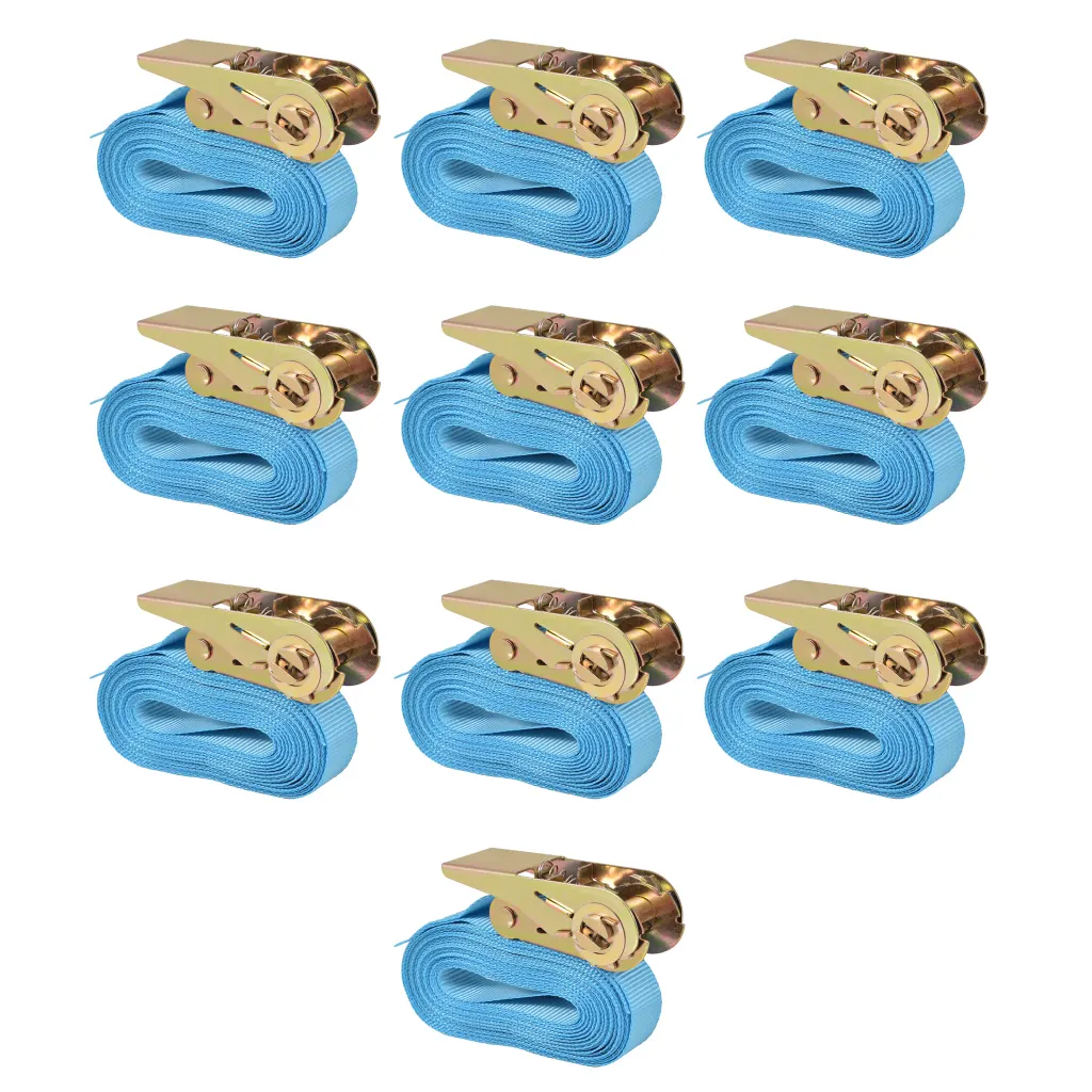 VidaXL Ratchet Tie Down Straps 10 pcs 0.8 Tonnes 4mx25mm Blue
