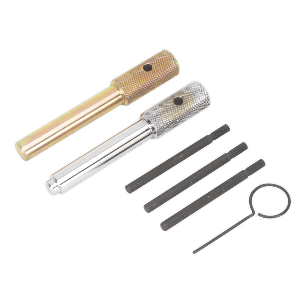 Sealey VSE5842 Diesel Engine Timing Tool Kit - Ford, Fiat, JLR, LDV, PSA 2.0D, 2.2D, 2.4D, 3.2D - Chain Drive