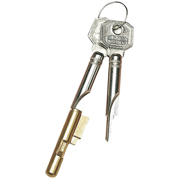 Burg Wächter 4481 E 7/3 SB Keyhole Blocker with 3 Keys for Extra S...