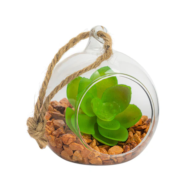 Glass Terrarium 