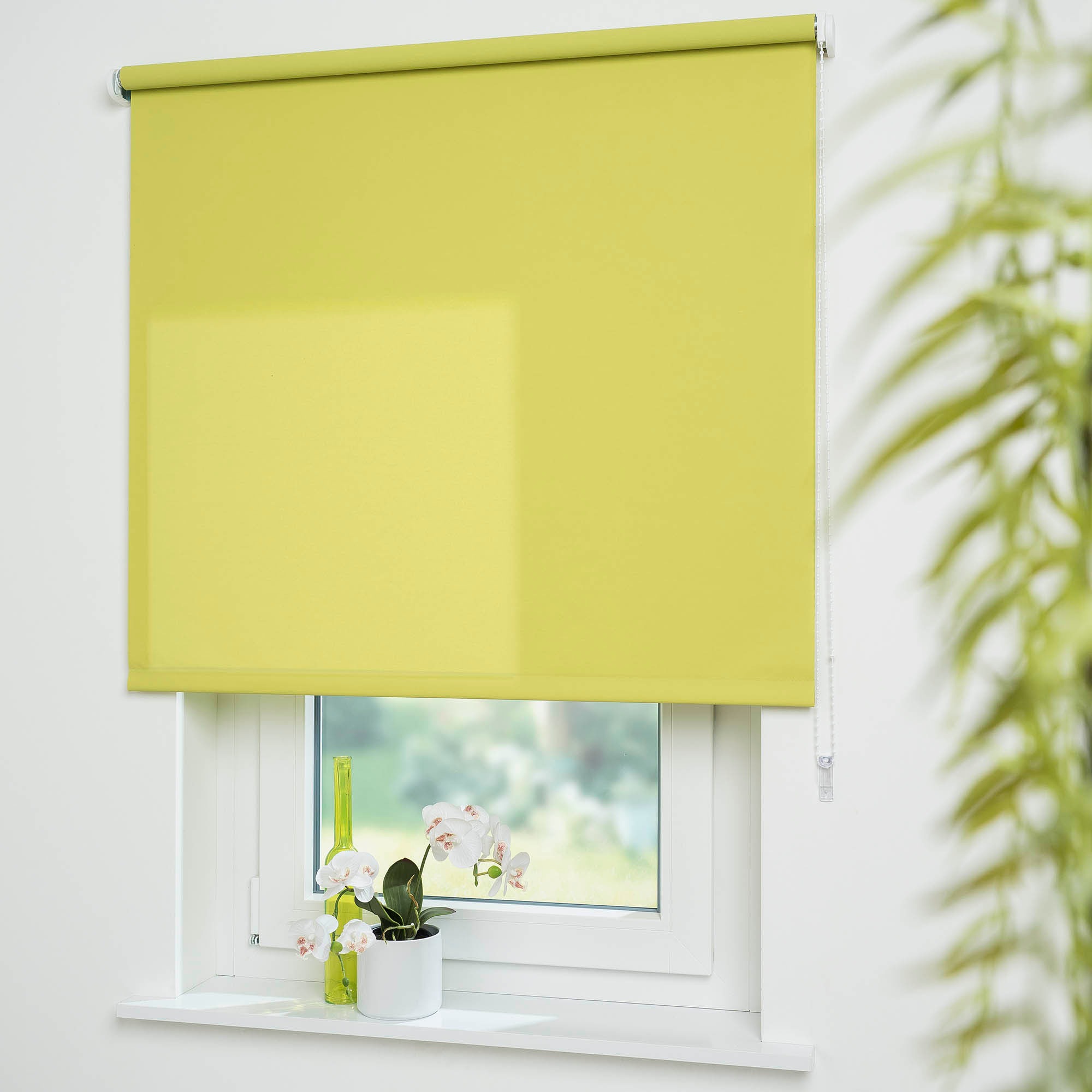 Liedeco Blinds green