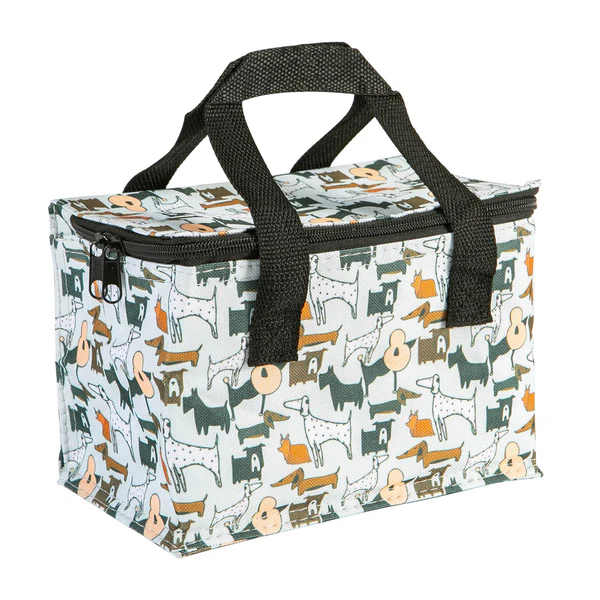 Insulated Lunch Bag