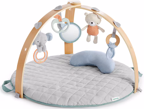 Ingenuity Cozy Spot Reversible Activity Gym