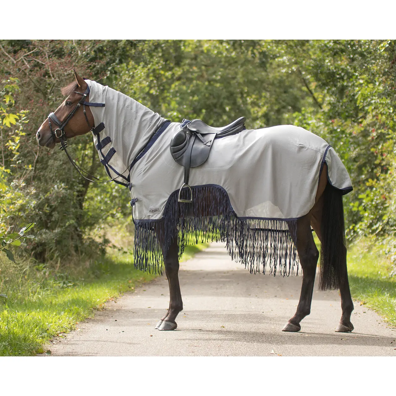 QHP Fly Rugs | QHP Fringed Exercise Combo Fly Rug Size 6'0 (185cm)