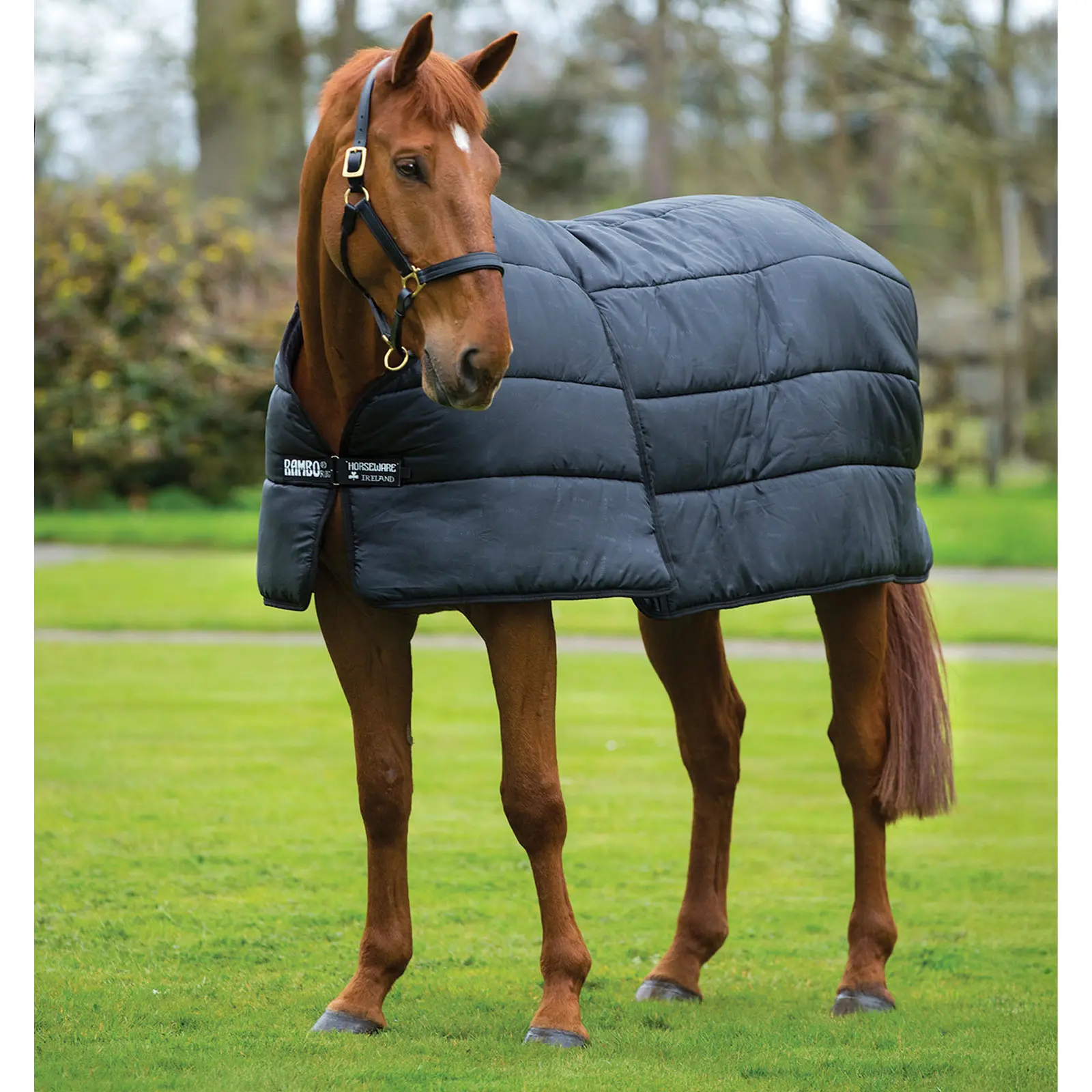 Horseware Under Rugs | Horseware Optimo Liner Rug Size 6'3
