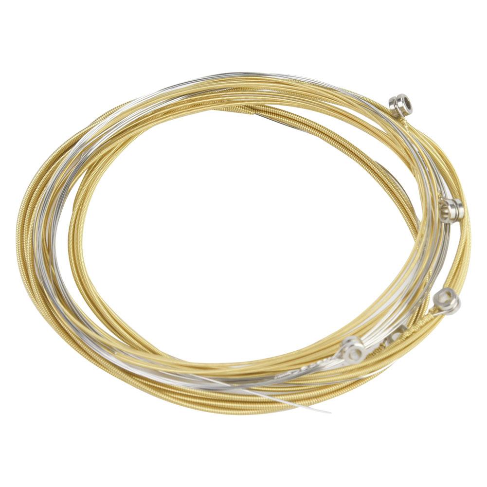 Ammoon Guitar String for Folk Guitars Musical Instrument Accessory Part