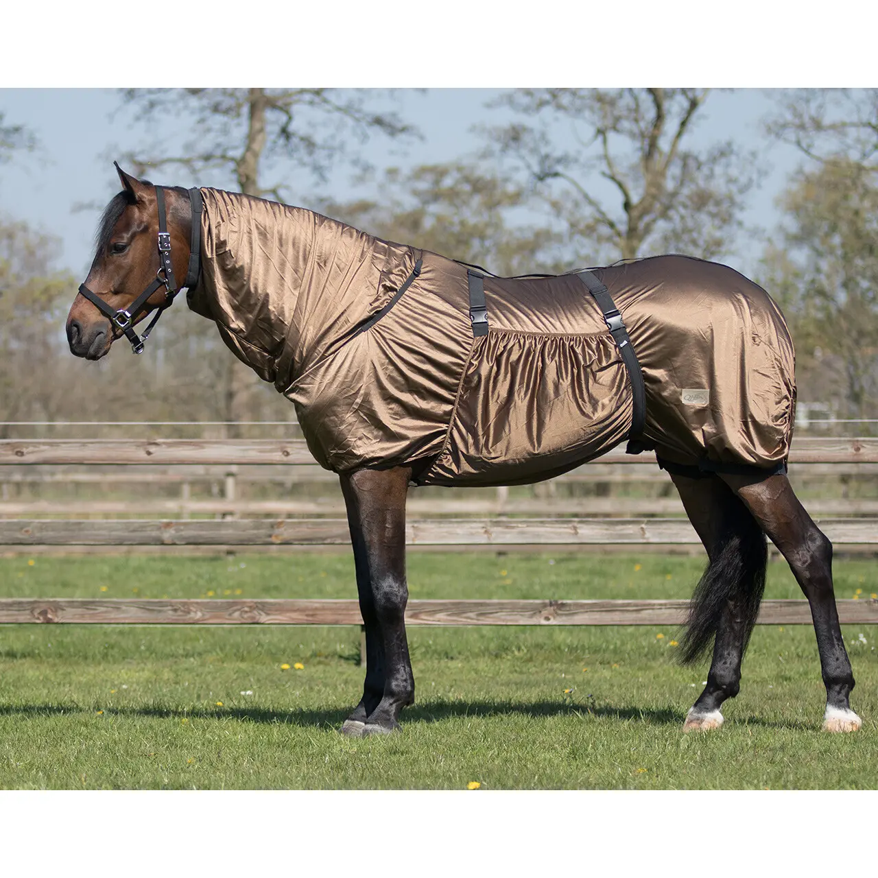 QHP Fly Rugs | QHP Eczema Combo Fly Rug Colour Brown Size 3'9