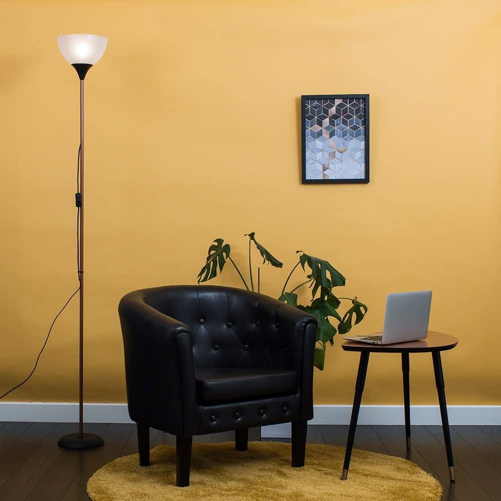 Value Lights Value Essentials Dalby Copper and Black Floor Lamp