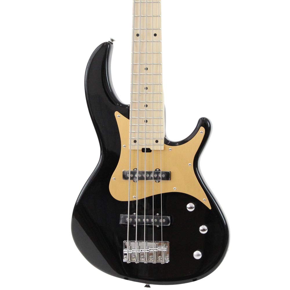 PITAKITE Ariaproii 5 String Bass Rsb Series Bk Rsb-618/5