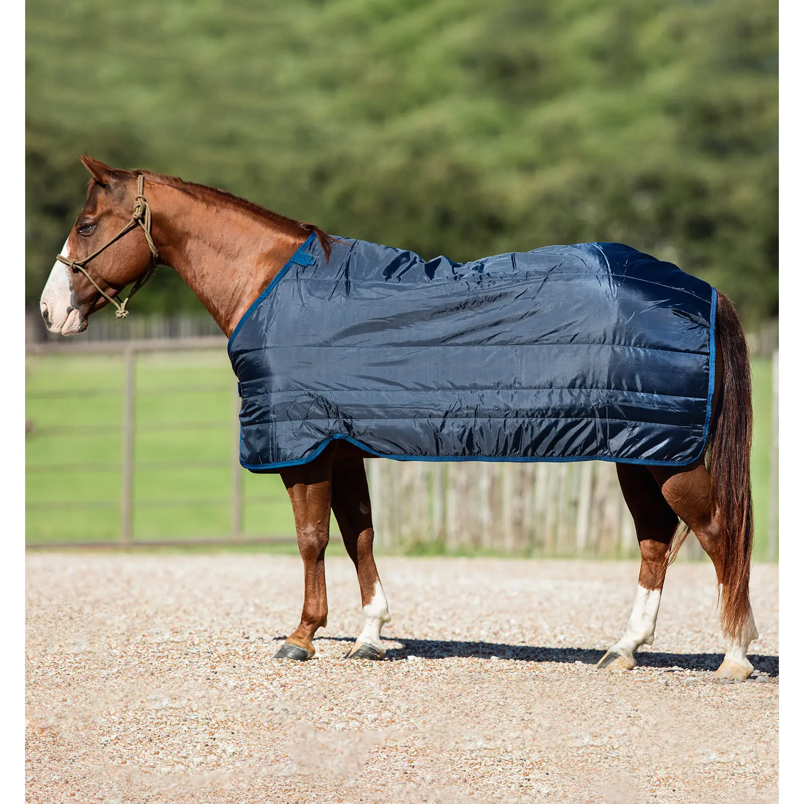 Horseware Under Rugs | Horseware Liner Rug Size 7'3"