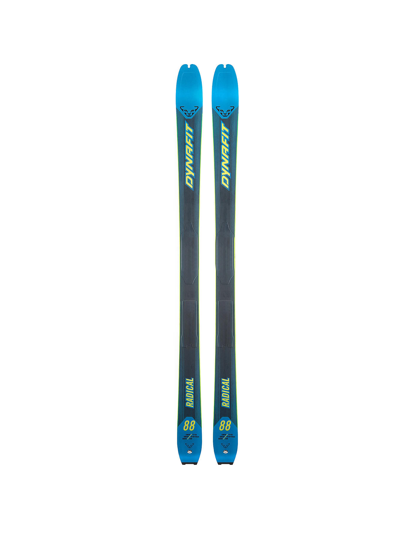 Dynafit Radical 88 - Reef / Limepunch - 158 cm