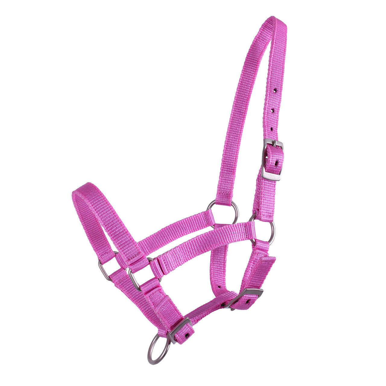 QHP Headcollars | QHP Foal Headcollar Colour Pink Size Full Foal