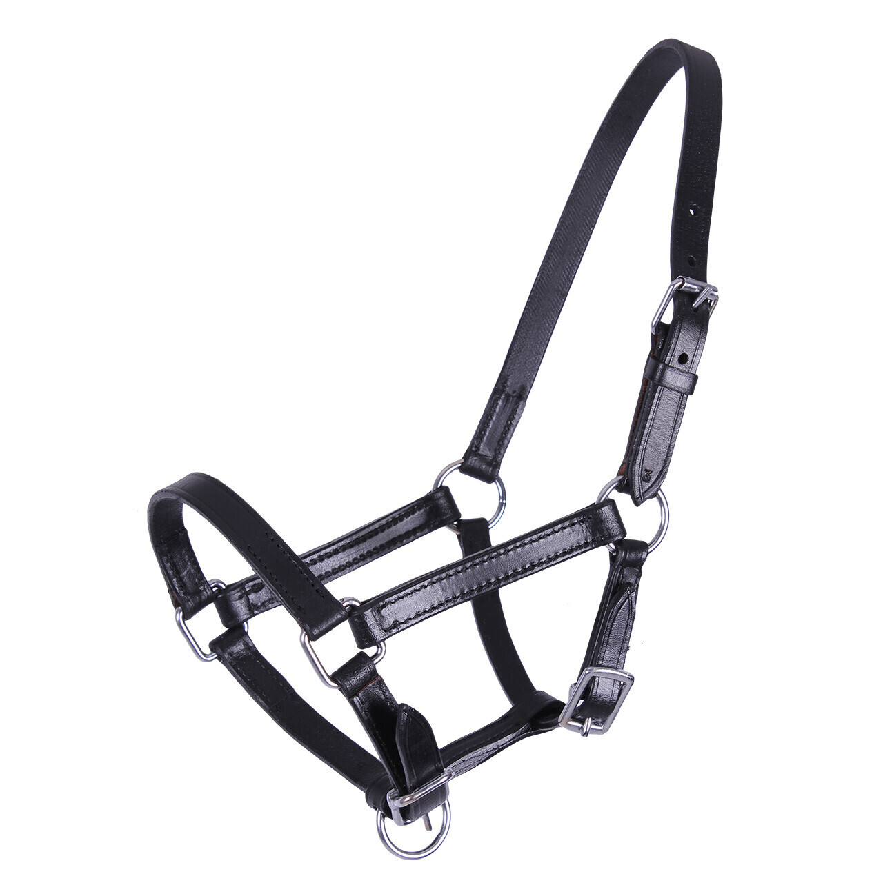 QHP Headcollars | QHP Chico Leather Foal Headcollar Colour Black Size Pony Foal