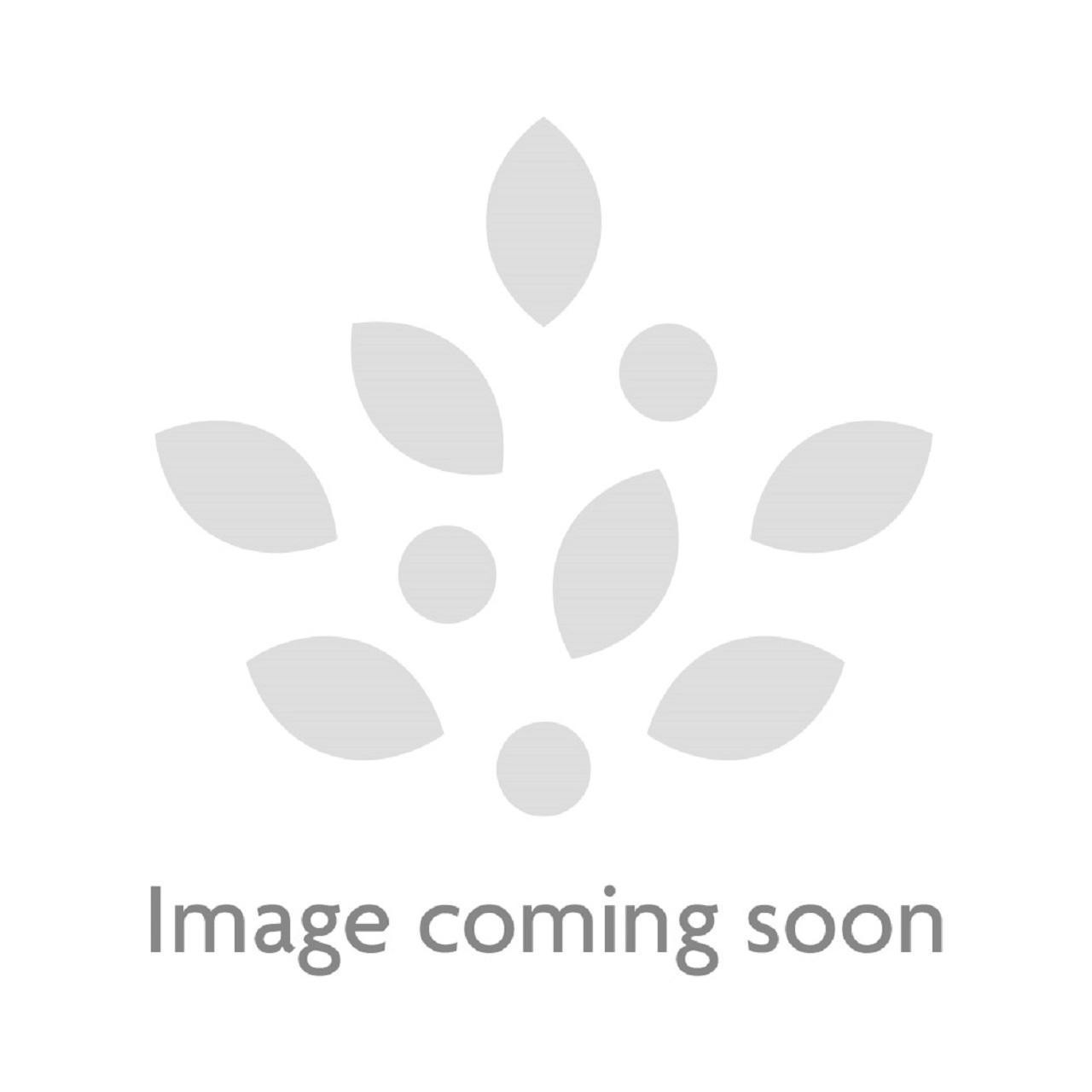 Sauce Shop Pineapple Habanero Hot Sauce