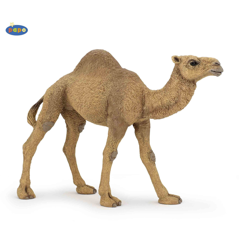 Papo Dromedary Animal Figurine - Figure Wild Animals Camel Dromadary 6 Inch