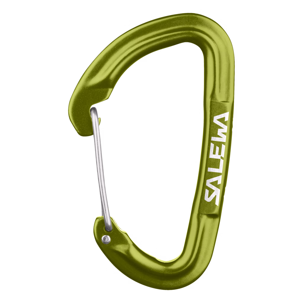 Salewa Hot G3 Wire Carabiner | Green