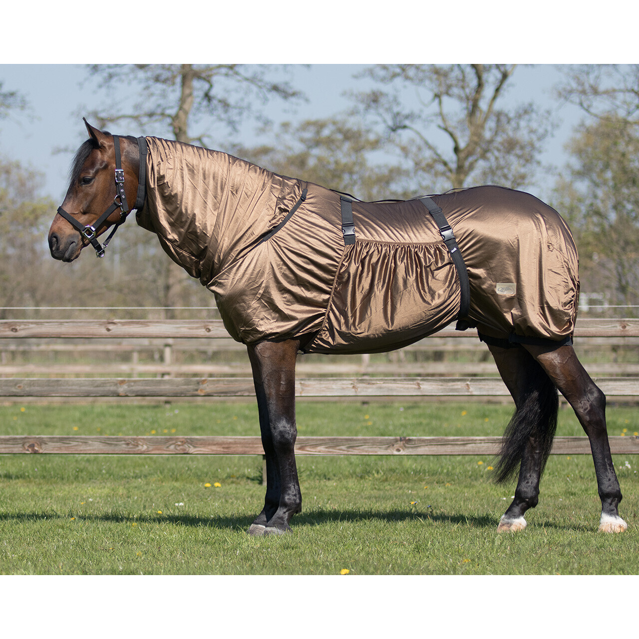 QHP Fly Rugs | QHP Eczema Combo Fly Rug Colour Brown Size 4'3