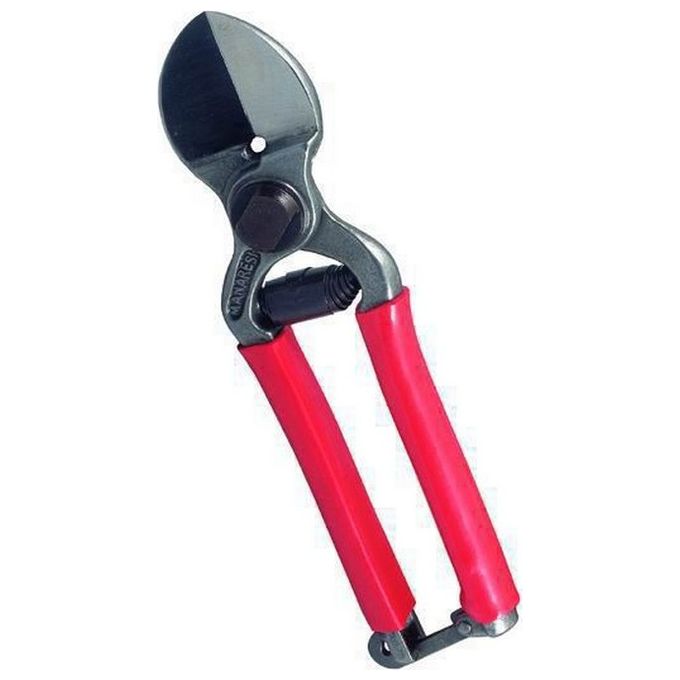 - Senza Marca/Generico - Forbici da pota con lama doppio taglio 21 cm per giardinaggio