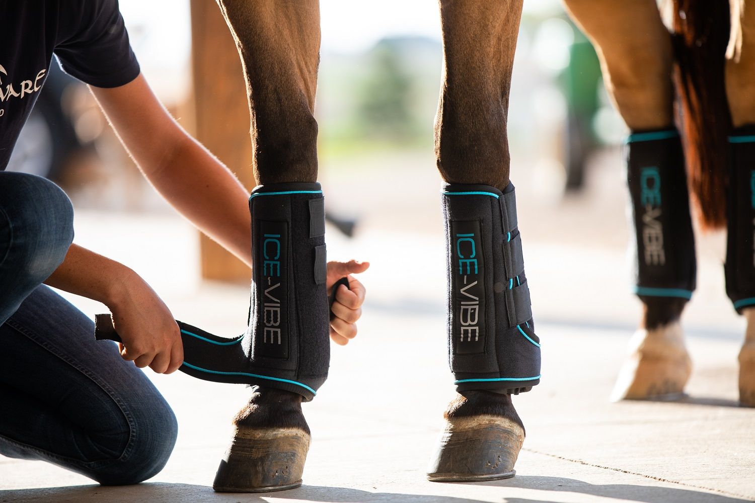 Horseware Therapy and Medical | Horseware Ice-Vibe Tendon Boots Size X-Full
