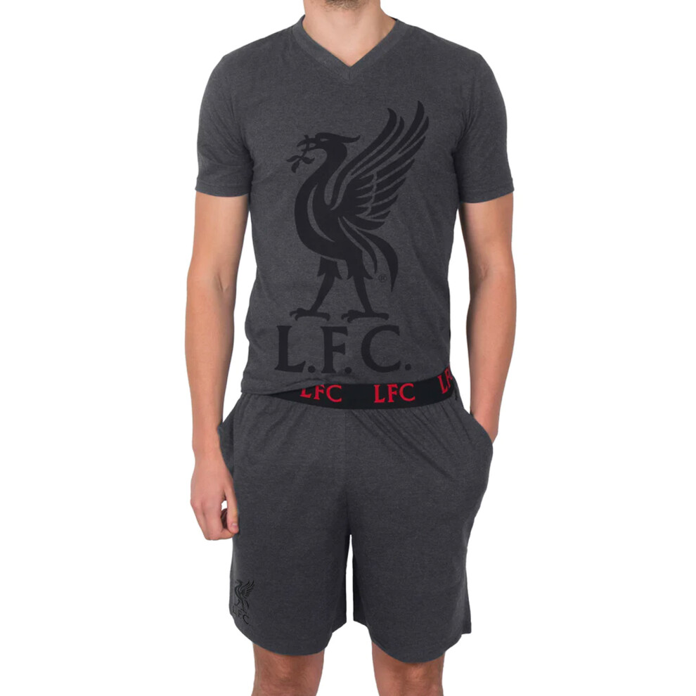 Liverpool Fc (Grey, Small) Official Football Gift Mens Short Pyjamas Loungewear
