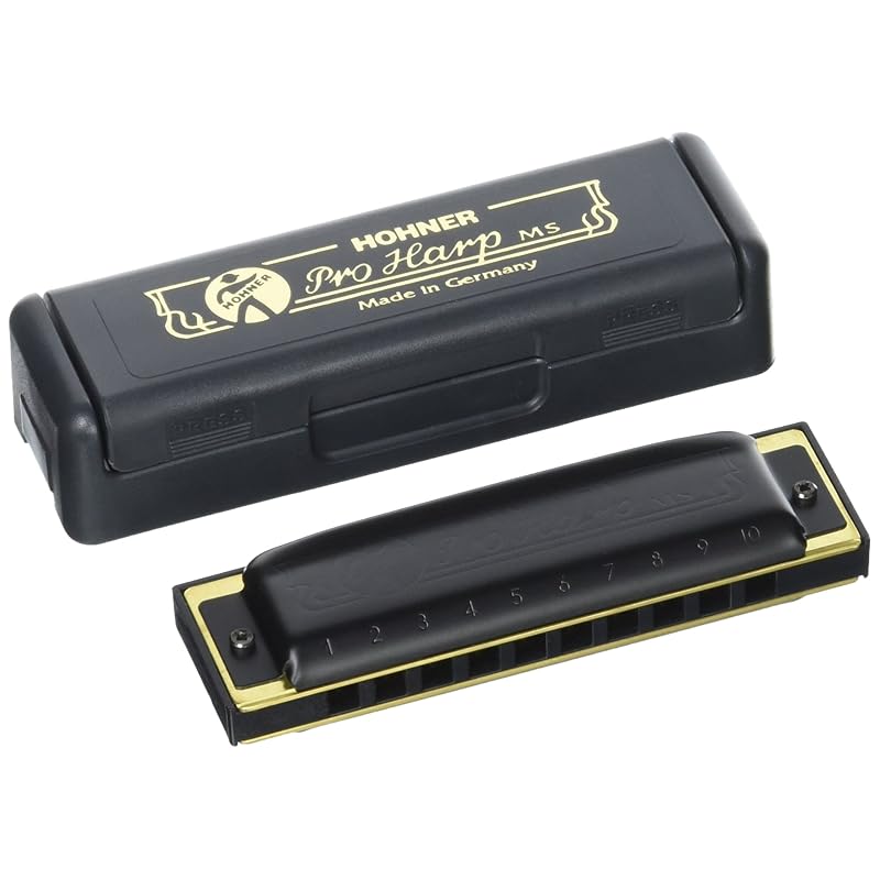 Hohner Pro Harp/c Professional Harp 10 Hole Harmonica