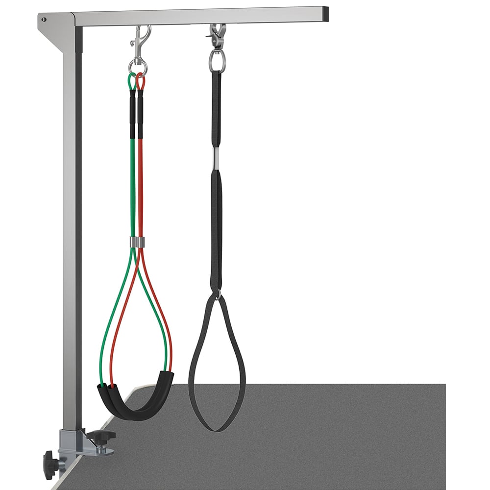 PawHut Adjustable Pet Grooming Arm with Clamp