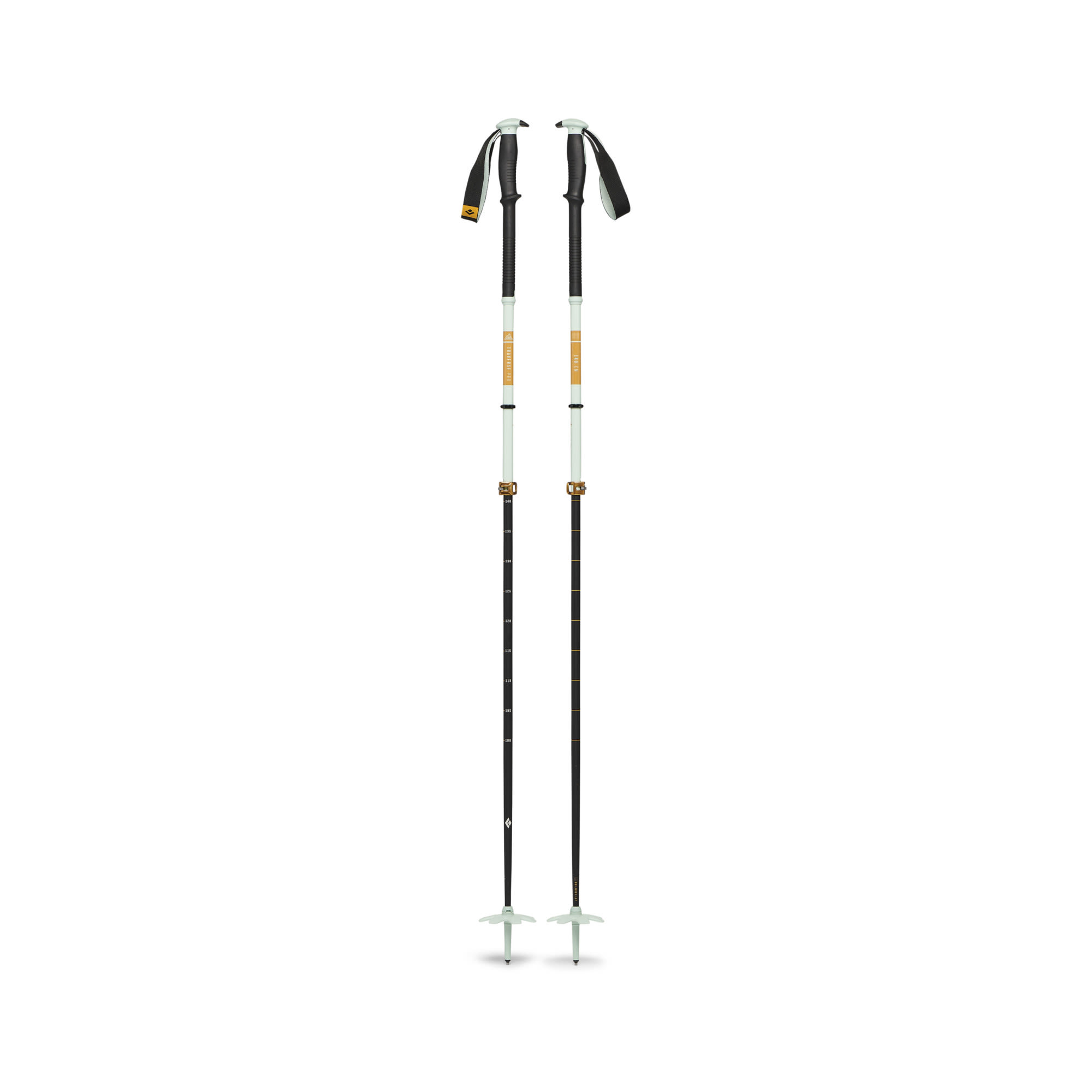 BLACK DIAMOND Equipment Traverse Pro Ski Poles 140cm - Green