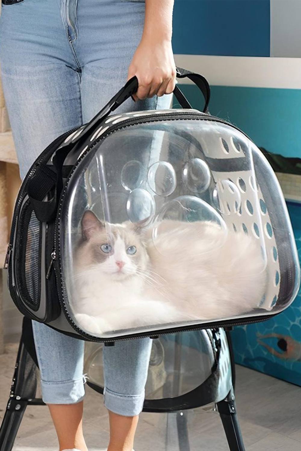 Living And Home Portable Transparent Pet Carrier